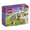 Конструктор Зайчик и зайчата Lego 41087